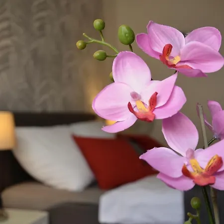 Apartment Beautiful In Prague