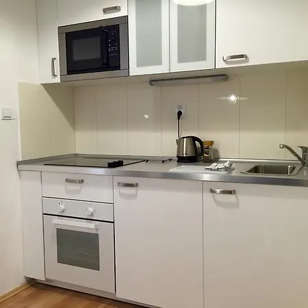Beautiful In Apartment Prague