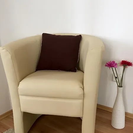 Beautiful In Appartement Praag